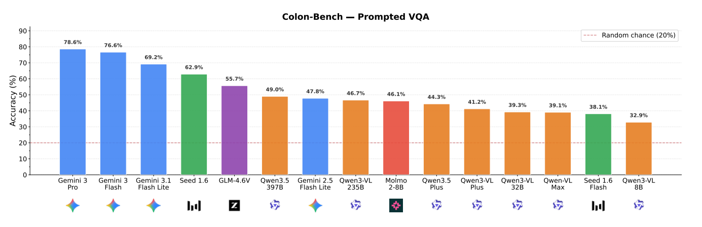 VQA Prompted Results